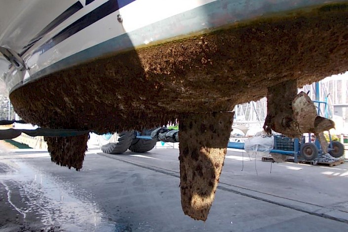 tms-marine-service-antifouling-001