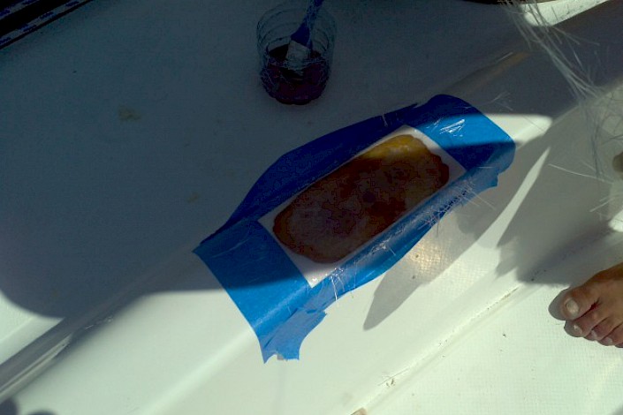 tms-marine-service-cat-lazy-linda-013