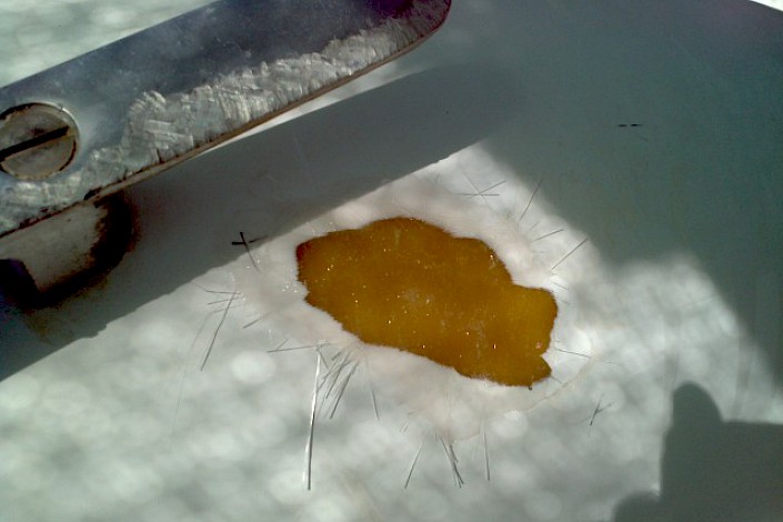 tms-marine-service-cat-lazy-linda-015