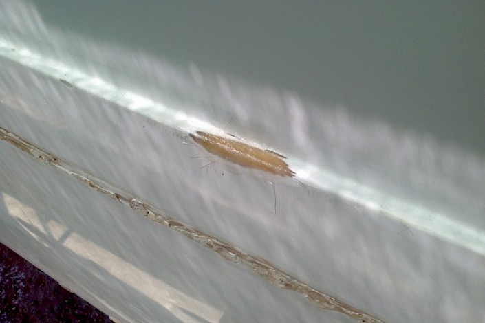 tms-marine-service-cat-lazy-linda-020