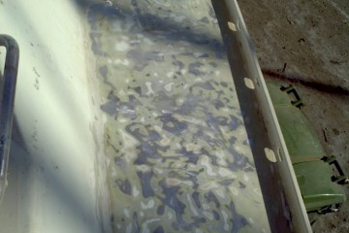 tms-marine-service-sy-anemos-022