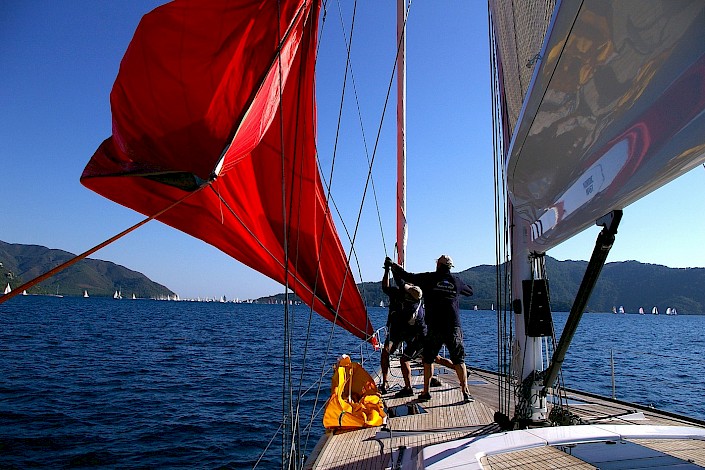 tms-marine-service-new-sails-1-003